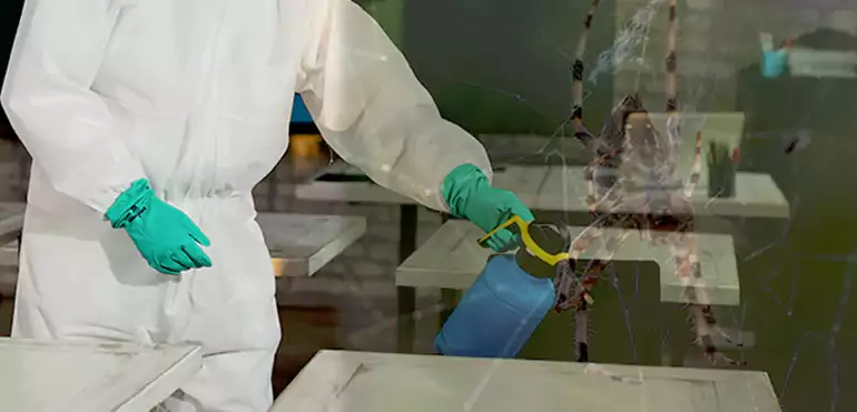 Why Buyers Still Want Homes With Pest Infestations in Houston, TX?