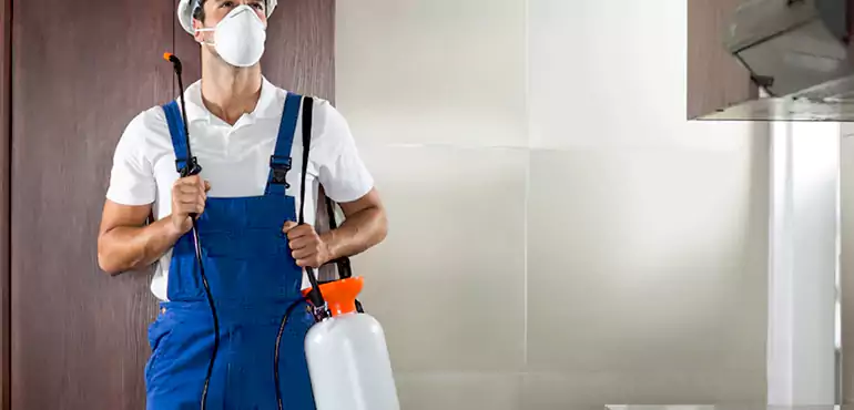 Why Houston Homeowners Choose Us When Pests Make Selling Difficult