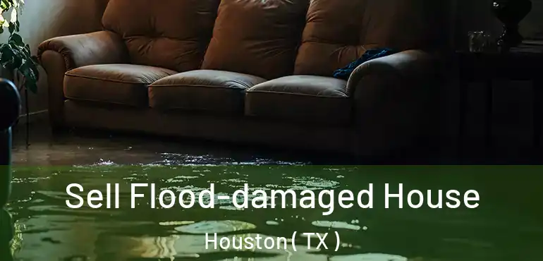  Sell Flood-damaged House Houston ( TX )