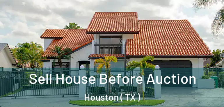  Sell House Before Auction Houston ( TX )