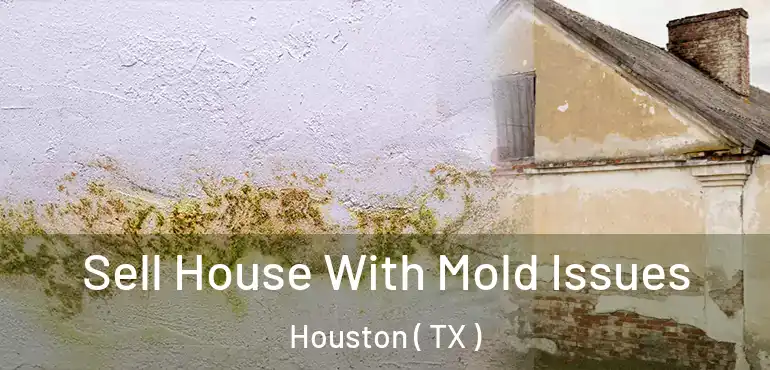  Sell House With Mold Issues Houston ( TX )